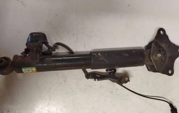 Lexus RX 450H Rear shock absorber/damper HA3060109B