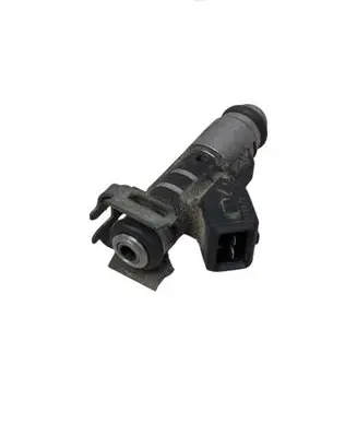 Citroen C3 Fuel injector 