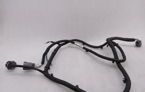 Aston Martin Vanquish V12 Front door wiring loom/harness boot DG4314407AD