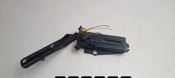 Citroen C6 Engine bonnet/hood hinges 9646042980