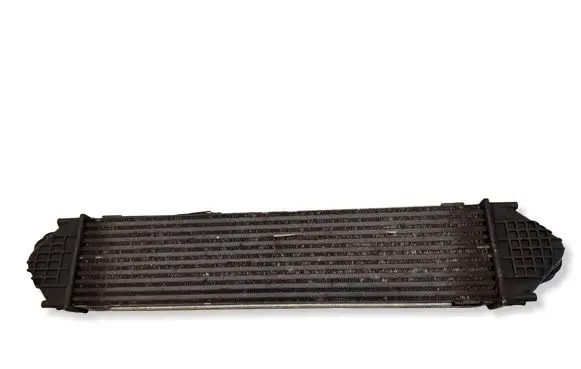 Ford S-MAX Intercooler air channel guide A1420880290E