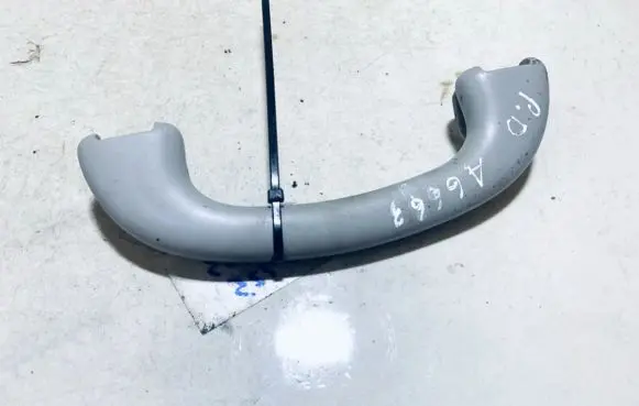 Ford Focus Front interior roof grab handle