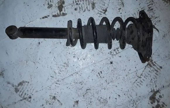 Nissan Primera Rear shock absorber with coil spring 56210AV700