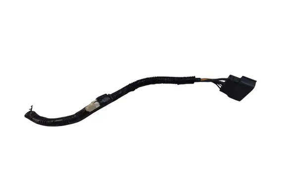 Ford Edge II Other wiring loom PASPSGF20 334721789