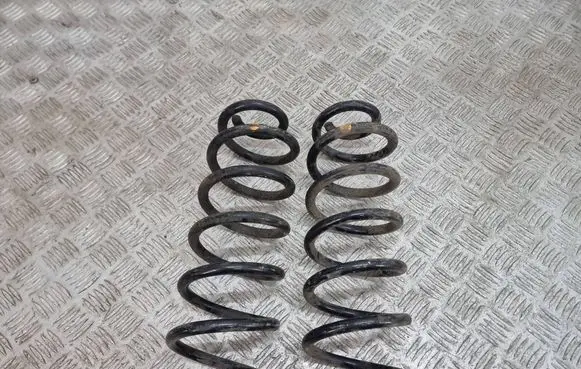 Rear coil spring