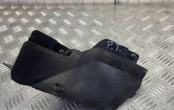 Cupra Born Rear mudguard 10A854856B