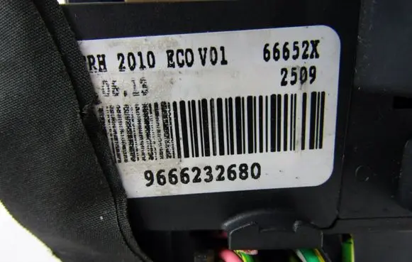 Citroen C4 I Picasso Fuse module 9666232680