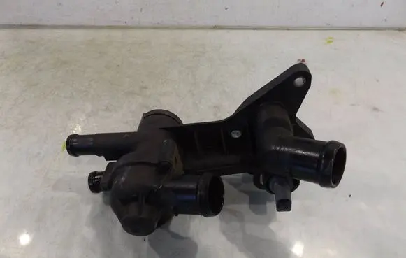Thermostat/thermostat housing