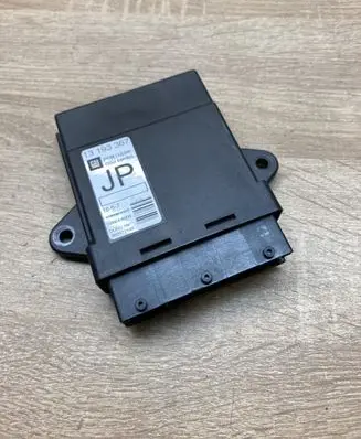 Opel Signum Door control unit/module 13193367