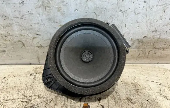 Opel Insignia A Front door speaker 13240968