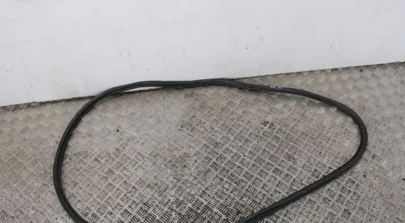 Audi A4 S4 B8 8K Front door rubber seal 8K0831721E