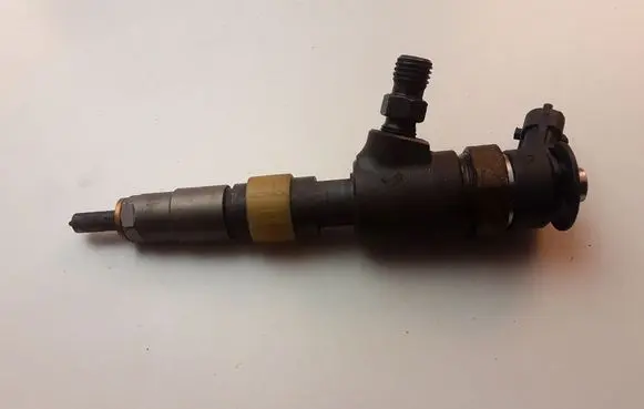 Peugeot Partner Fuel injector 0445110566