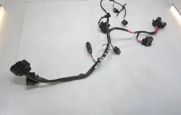 Volkswagen PASSAT B7 Wiring harness 3C0971819A