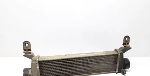 Mercedes-Benz Vaneo W414 Intercooler radiator A1685000000