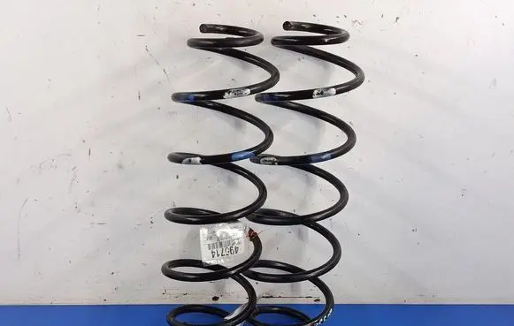 Rear coil spring