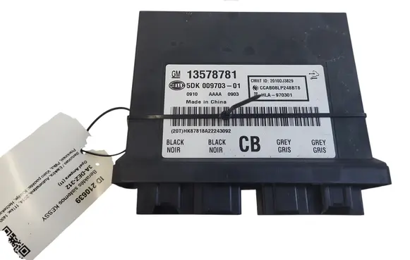 Opel Ampera Keyless (KESSY) go control unit/module 13578781 5DK00970301