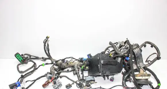 Other wiring loom