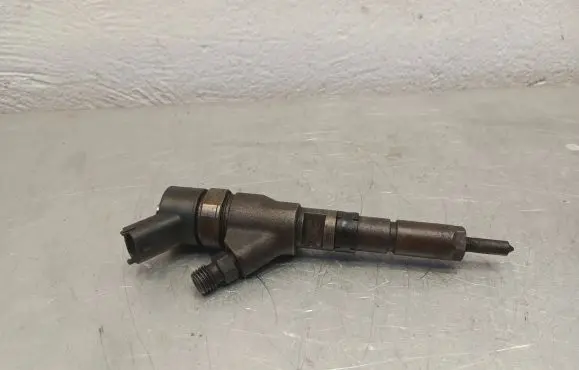 Citroen C5 Fuel injector 9641742880 0445110076
