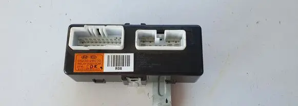 Hyundai Santa Fe Other control units/modules