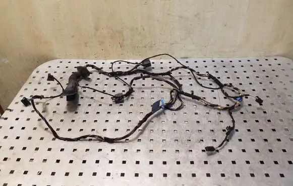 BMW X5 E70 Front door wiring loom 9116974 6937276
