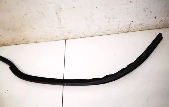 Audi Q4 e-tron Rubber seal front coupe door 98A837479