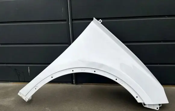 BYD Tang II Fender