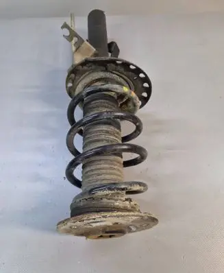 Ford Galaxy Front shock absorber with coil spring
