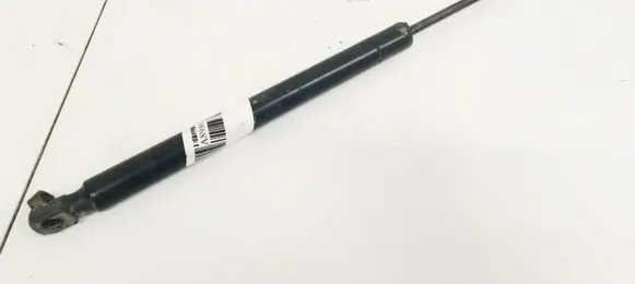 Dodge Journey Tailgate/trunk strut/damper