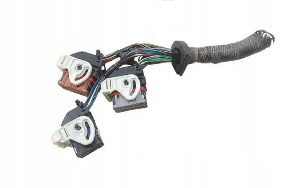 Ford Focus Wiring harness 