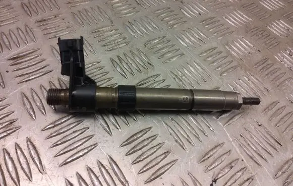 Land Rover Evoque I Fuel injector 9687454480