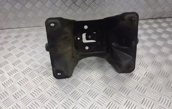 Mitsubishi Pajero Spare wheel section trim BRAK