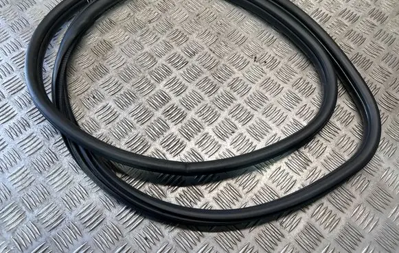 BMW 3 F30 F35 F31 Front door rubber seal 7258312