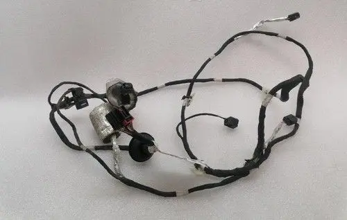 Ferrari Purosangue Rear door wiring loom