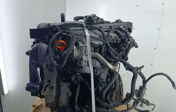 Volkswagen Golf V Engine BKD