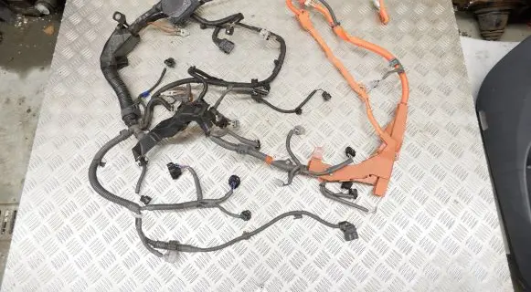 Engine installation wiring loom
