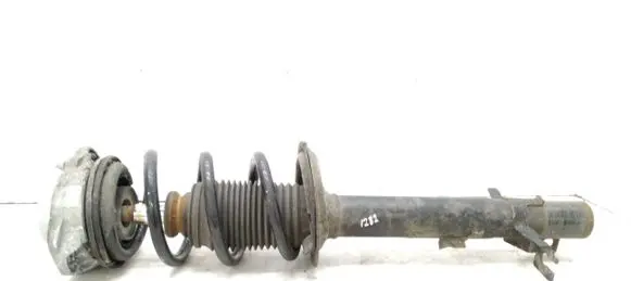 Citroen Jumper Front shock absorber with coil spring