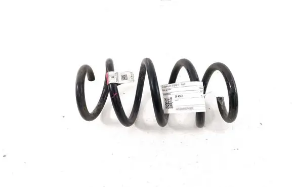Rear coil spring