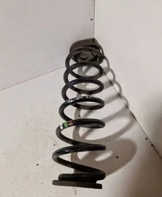 Rear coil spring