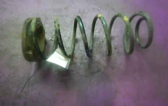 Hyundai i20 (PB PBT) Rear coil spring