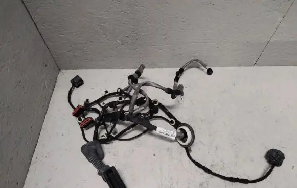 Rear door wiring loom