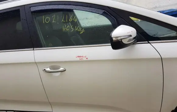 KIA Carens III Front door