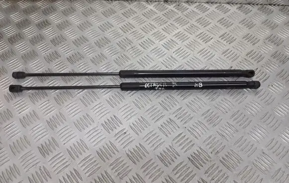 Skoda Octavia Mk2 (1Z) Tailgate hydraulic set 1Z5827550B