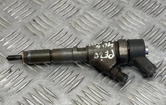 Peugeot 406 Fuel injector 9640088780