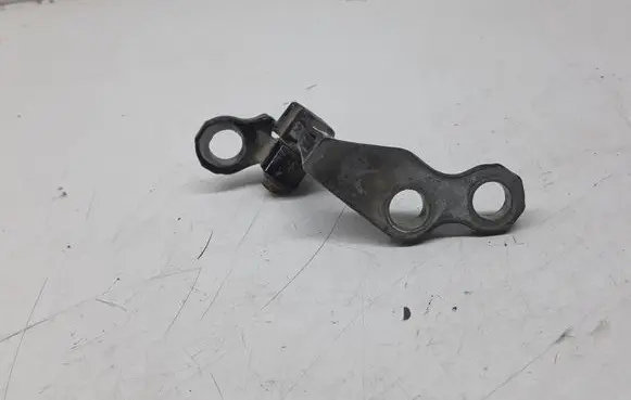 Rear door lower hinge