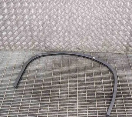 Jaguar F-Type Rubber seal front coupe door EX5320708A