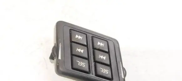 Multifunctional control switch/knob