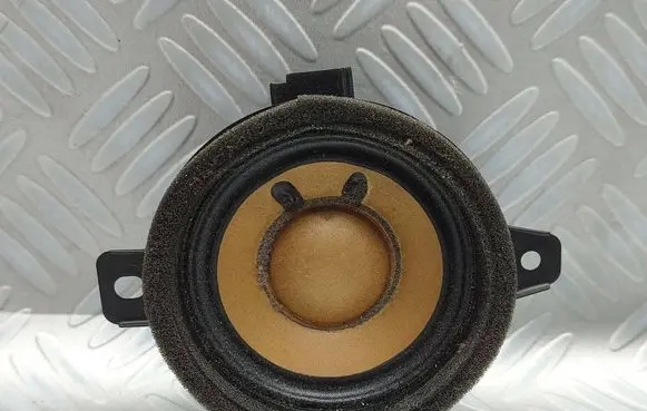 Opel Zafira C Panel speaker 13240967 2613 545295771