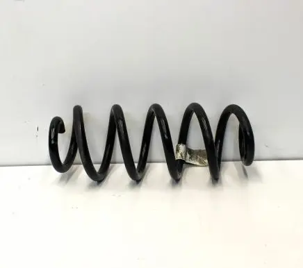 Ford Kuga III Rear coil spring LX615560NAD