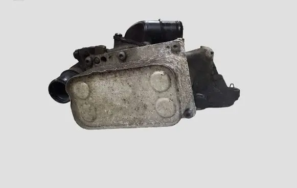Renault Laguna III Oil filter mounting bracket 3069 81321189