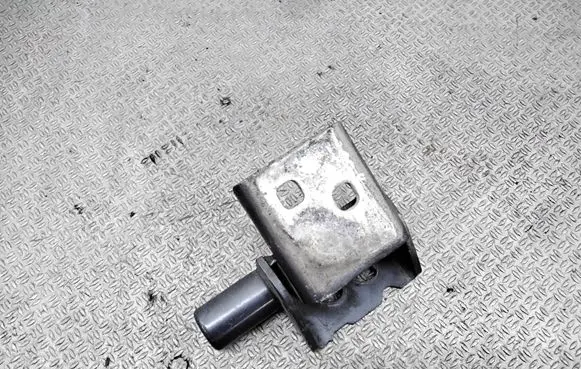 Renault Clio III Front door lower hinge 